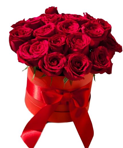 Box 20 rosas vermelhas