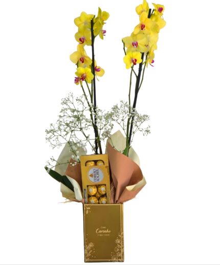 Orquídea com Ferrero Rocher