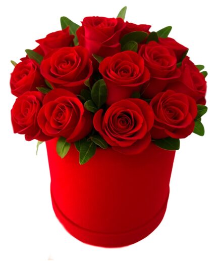 Box 50 rosas vermelhas